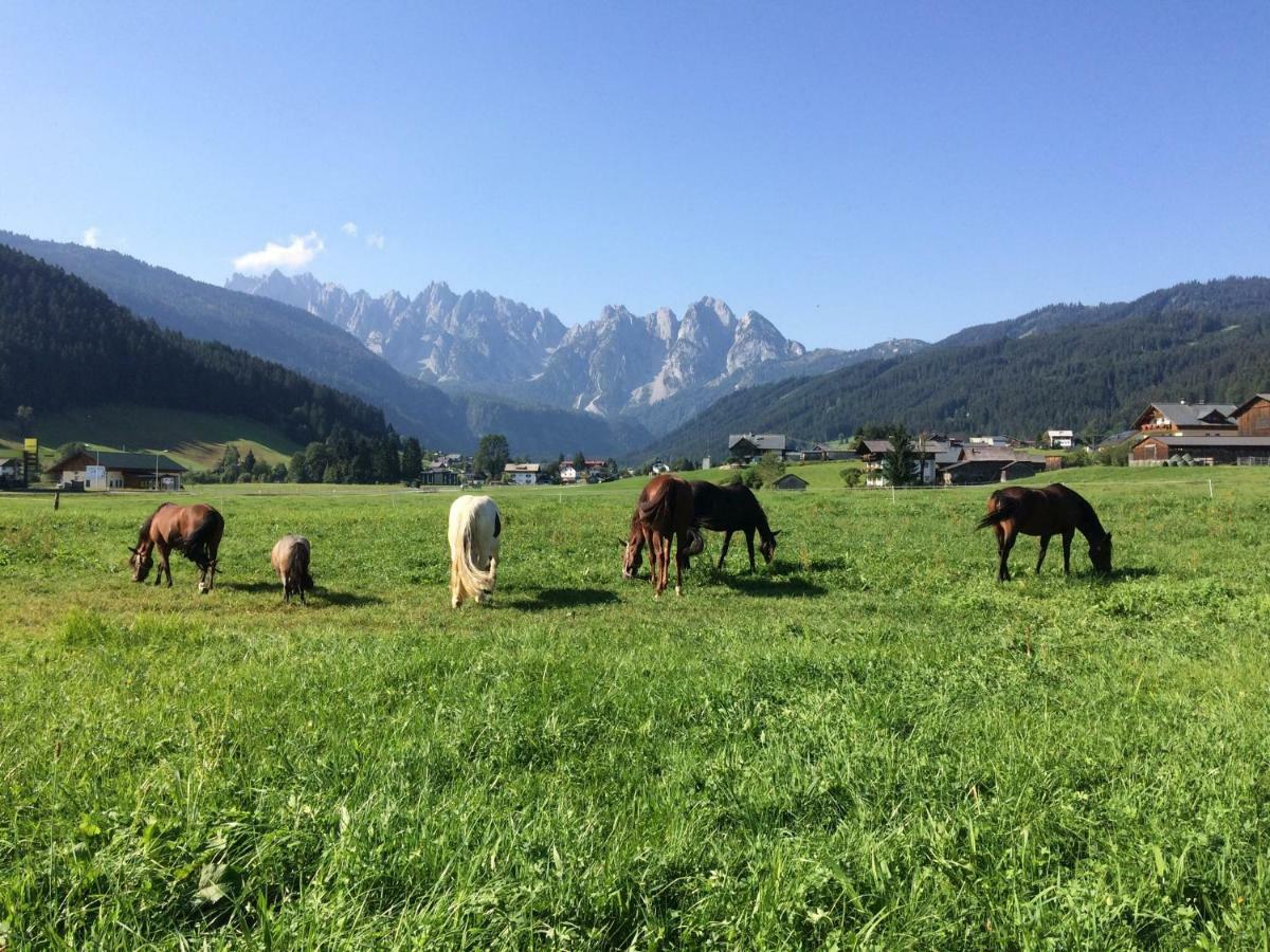 Ferienwohnung Schmiedsipplbad Gosau Exterior foto